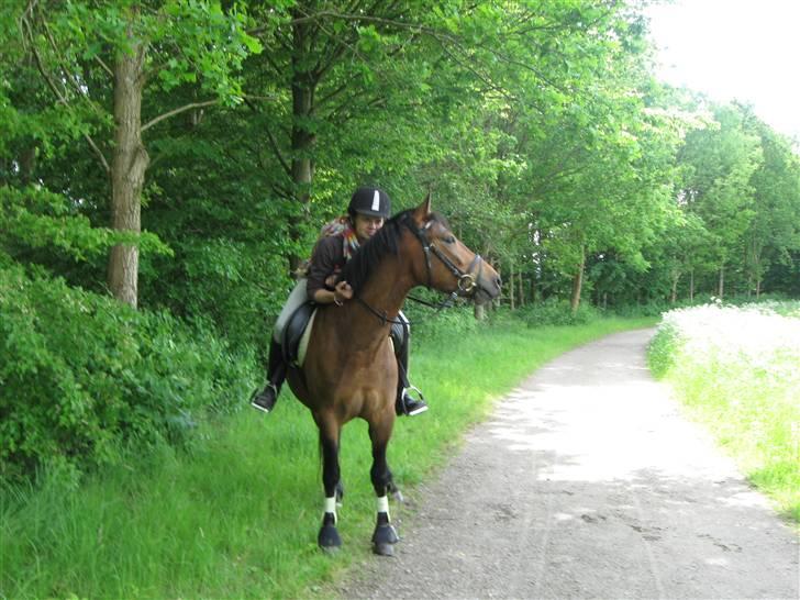 Anden særlig race Mister Mani - Sommeren 2009, en tur i skoven :-)
*taget af laura* billede 10