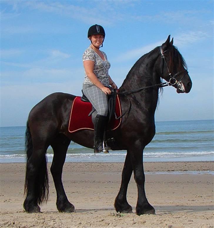 Frieser Rickert - 2008 billede 17