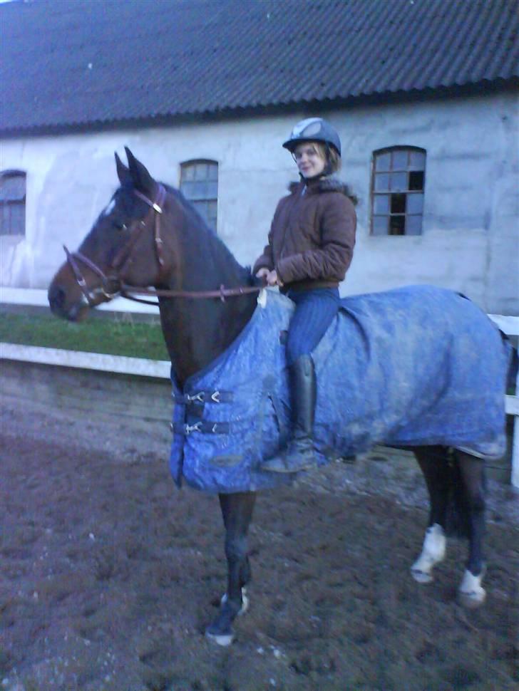 Anden særlig race Manuela  billede 6