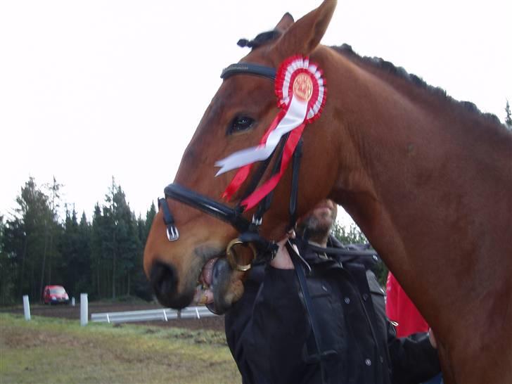 Oldenborg Cornando billede 9