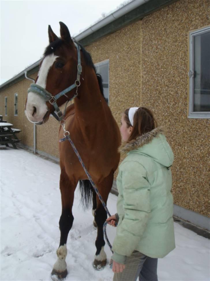 Anden særlig race Castell E (passer )R.I.P - årh hvor er de søde ! =) foto. Mille billede 6