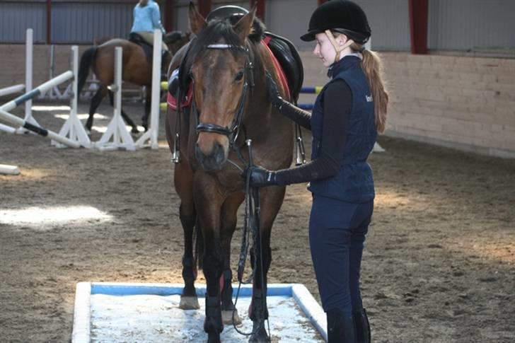 Fuldblod (XX) Capzeda xx - Capzeda står på den faaarlige vandgrav. 13. april 08 billede 14