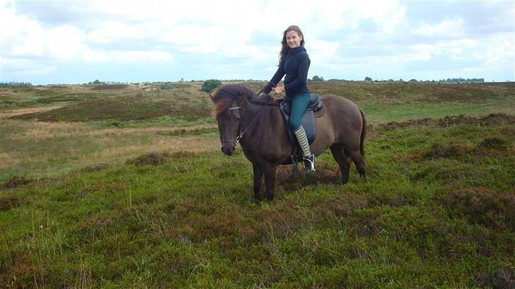 Islænder Katla - Katla og mig i natur<3<3<3 fotograf: Tina<3 tak tina :P billede 6