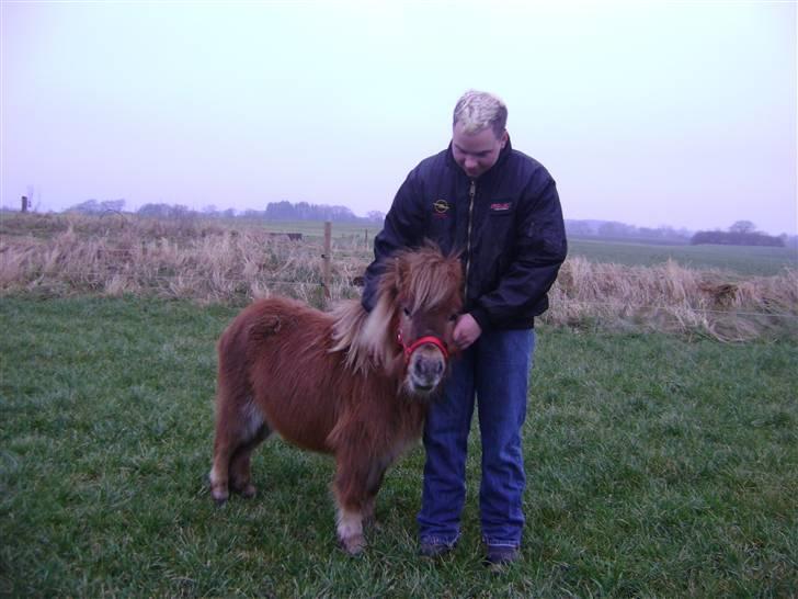 Miniature Elisa ( Eli ) - Mhmm dejligt at blive kløet :) billede 7