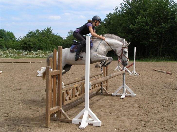 Anden særlig race Kiwi - min smukke pony:) billede 1