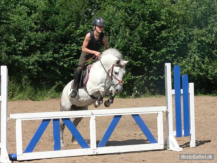 Anden særlig race Kiwi - <3 billede 3