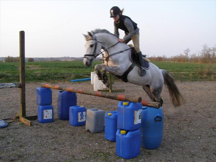 Anden særlig race Kiwi - spring<3 billede 5