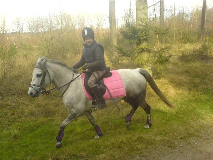 Anden særlig race Kiwi - rider en tur på lille kiwi<3 billede 7