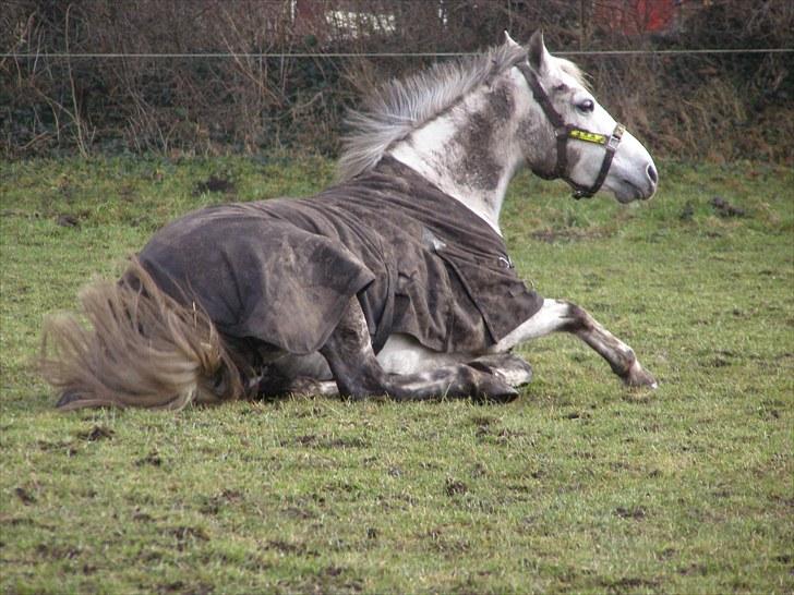 Anden særlig race Kiwi - elsker at gøre mig beskidt=:) billede 8