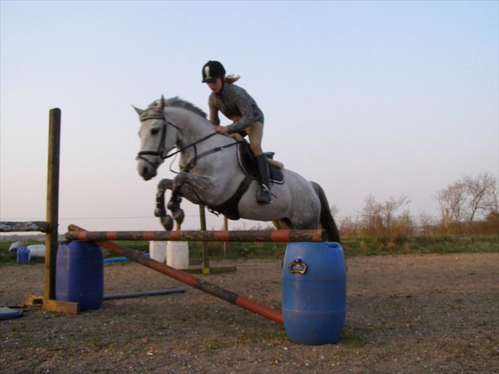 Anden særlig race Kiwi - spring der hjemme<3 billede 10