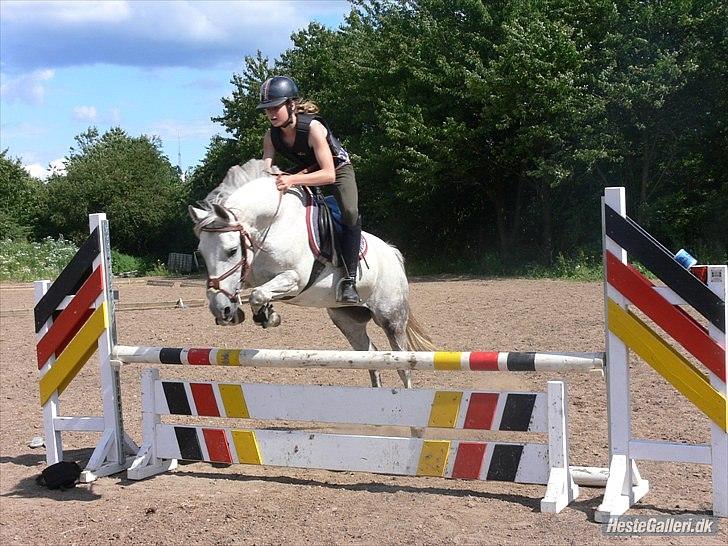 Anden særlig race Kiwi - min lille søde kiwi<3 billede 11