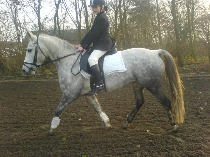 Anden særlig race Kiwi - hvores første stævne, fik 3 pladsen<3 billede 12