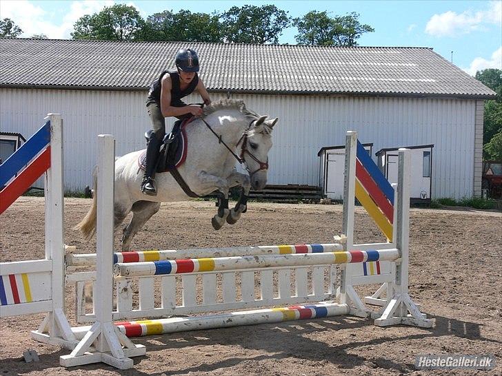 Anden særlig race Kiwi - <3 billede 13