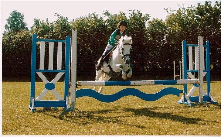 Anden særlig race - Grey Tally Star  billede 5