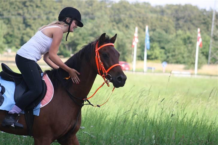 Anden særlig race ** Leonardo ** - Dejlige hest! (: Har lige vundet derby! :D Billedet er taget af Maria med Foxie Lady herinde fra (: billede 8