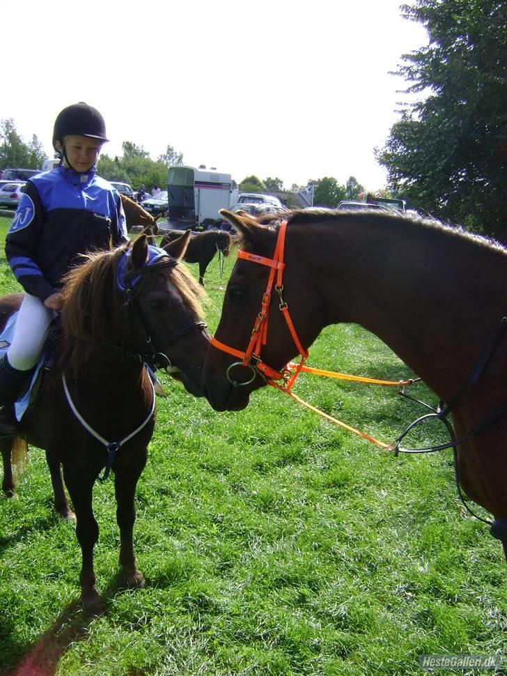 Anden særlig race ** Leonardo ** - Bassen til løb (: vil hilser lige på vores ´konkurrent´ (; billede 12