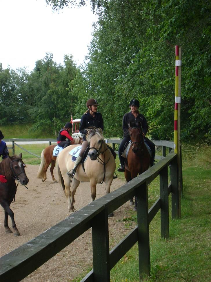 Anden særlig race ** Leonardo ** - Fjuri&Julie Leonardo&Mig. billede 17