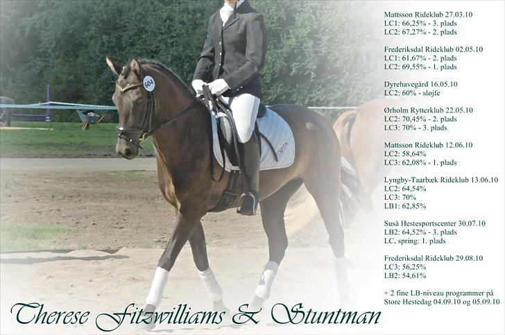 Hollandsk Sportspony Stuntman - Therese og Stunts resultater på omkring 5 mdr sammen :) billede 10