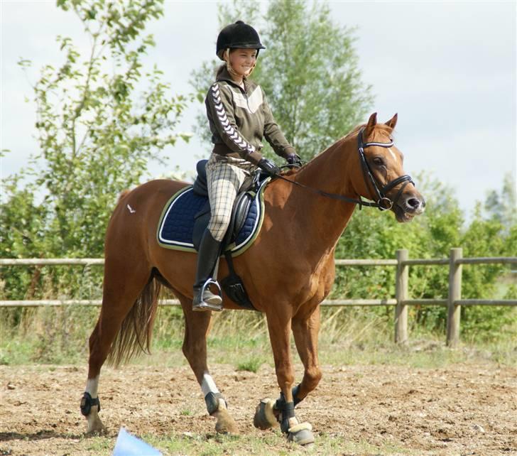 Tysk Sportspony ¤Mennecy - A-Pony<3  - Min dejlige pony , vi holder lige en pause for at vi skal springe lidt mere , Foto : Hanne Brænden Fet  billede 8