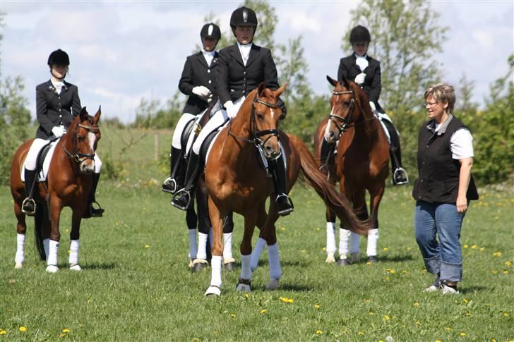 Tysk Sportspony ¤Mennecy - A-Pony<3  - 10 tøser fra ridenskolen , overraskede mig med at komme til min konfimation ( lisette rider Mennecy ) billede 12