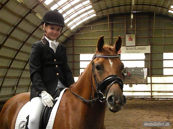 Tysk Sportspony ¤Mennecy - A-Pony<3  - du er smukkere end smuk og du ved det godt ;P <3 billede 16