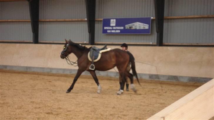 Anden særlig race kia - lige lidt opvarmning.... billede 14
