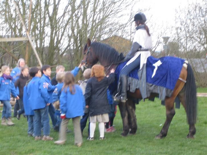 Anden særlig race Sir Gawain of Lisanku - Gawain og mig som riddere billede 12