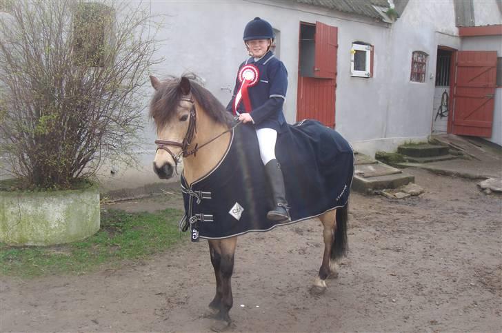 Irsk Sportspony | Irish Spirit - 1. plads i Pizza cup 2008 i Vemmelev :D <33 billede 5