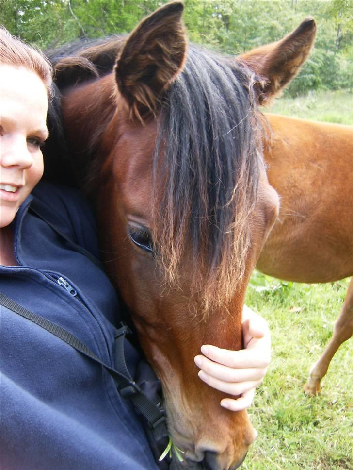 Anden særlig race Kings Champion. ( SOLGT ) - Hehe billede 19