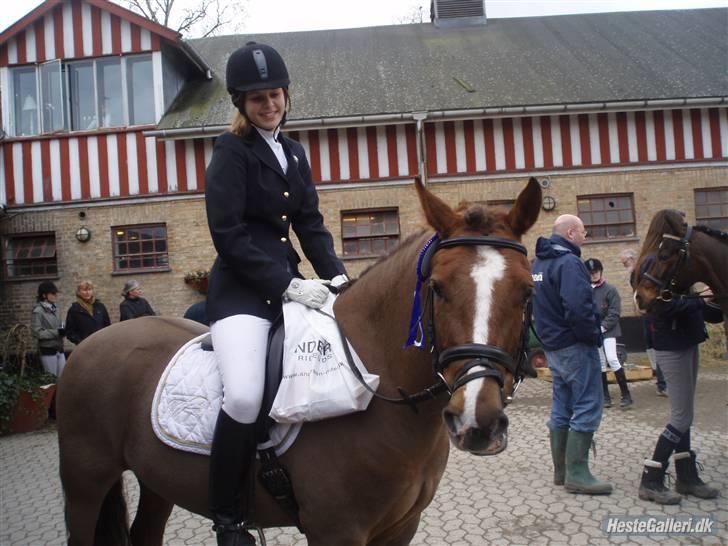 New Forest Copyright - 2. plads Til mattson stævnet d. 6 april. fik også 1. plads i lb´en billede 15