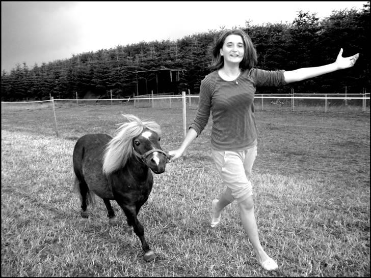 Shetlænder Dismo *R.I.P* - Dismo:-) .. foto: lea hartmann hansen billede 9