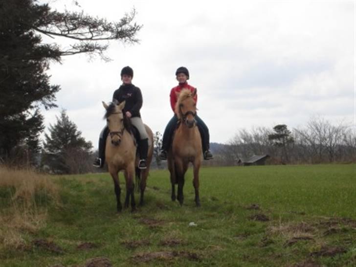 Anden særlig race Vangshøjs Baily (solgt) - Lea og jeg ude og "lufte" hestene :P billede 16