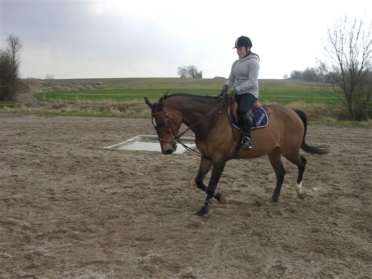 Fuldblod (XX) Schelhase'S Loke - Træning. Fotograf, Louise m. Paps billede 2