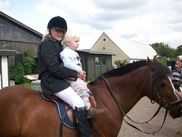 Anden særlig race Bjarke  - Lille bror på Bjarke<3 billede 2