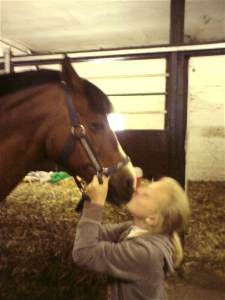 Anden særlig race Bjarke  - Myss Myss<3 billede 3
