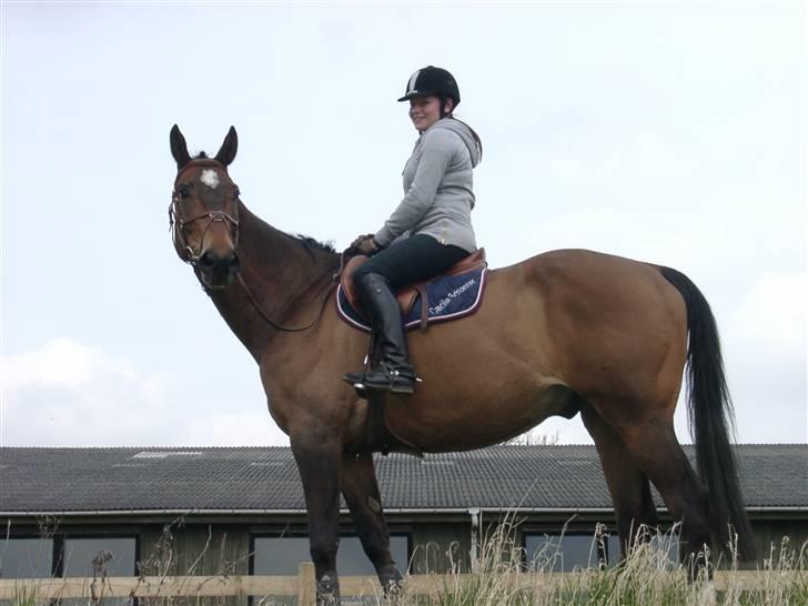 Fuldblod (XX) Schelhase'S Loke - Græsset må ikke betrædes Logo ! Træning. Fotograf, Louise m. Paps billede 12