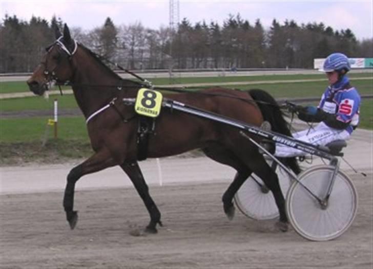 Traver Baron EK (s) solgt billede 6