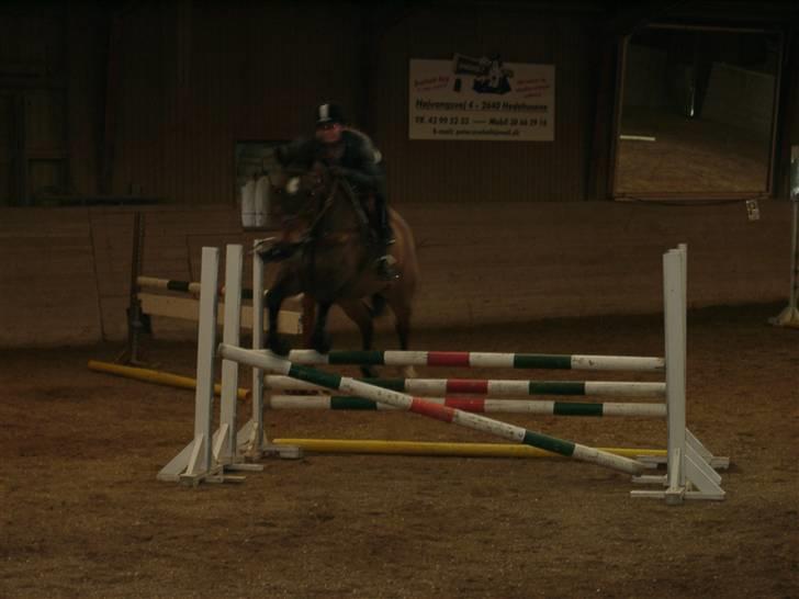 Fuldblod (XX) Schelhase'S Loke - Træning. Fotograf, Louise m. Paps billede 16