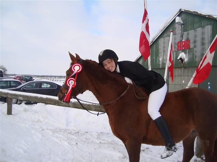 Arabisk fuldblod (OX) Flamann <3 R.I.P 12.12.17 - Lørdagens høst! :D STOLT af den dejlige Bamse! billede 17