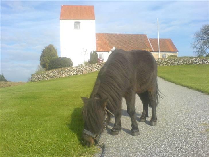 Miniature victor*givet væk - victor foran tvede kirke <3 billede 16