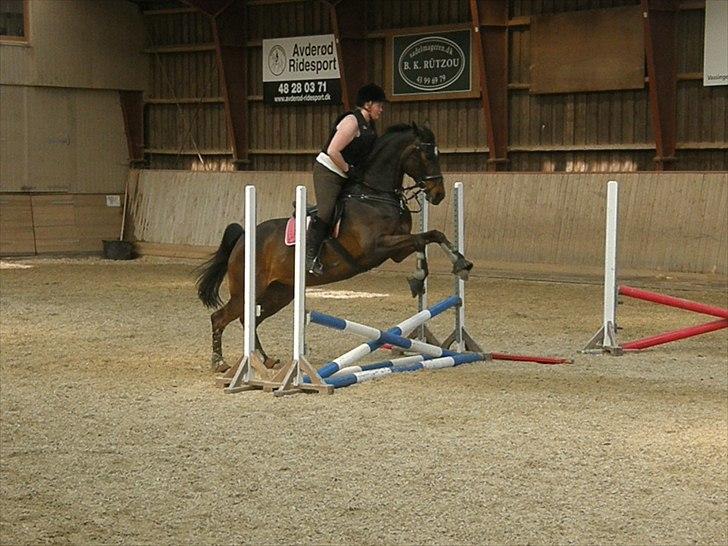 Dansk Varmblod Rubina Imhoff "Rubbies" - Springning!! :D billede 11