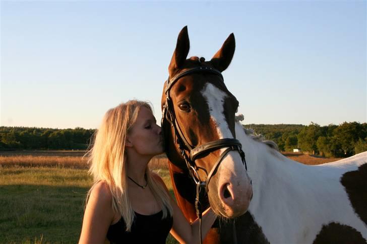 Pinto Mister Charfilo † RIP - Mit et&alt <3 Holmager 08 billede 12