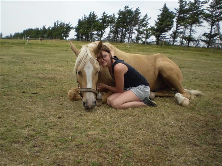 Palomino spirit  - cutie spirit :D mig og spirit. fotograf: mia med bianca herinde :) billede 4