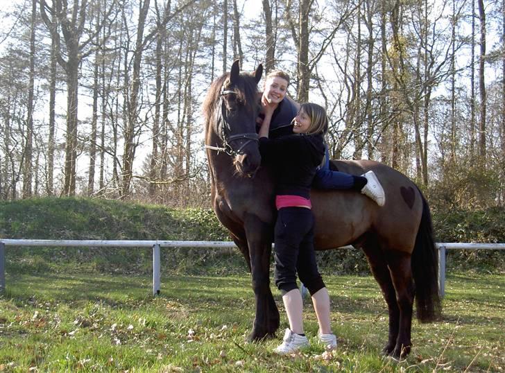 Anden særlig race Kong Louie  SOLGT R.I.P ! - anne og lizette hygger sig med Louie <3 billede 3