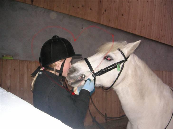 Anden særlig race Funny  <3  - Beddefuuns <3 billede 19