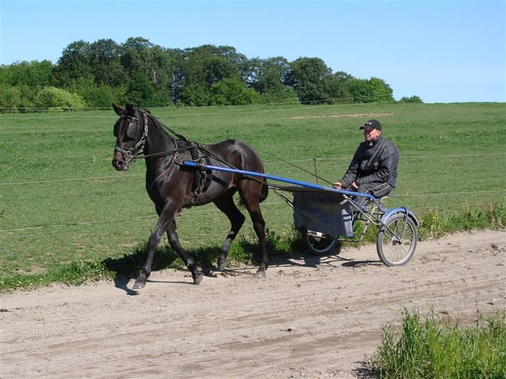 Traver Orlov Replay Mastery  - 6 gang for vogn. Det tar han som en stjerne :-) D. 29/5-09 billede 6