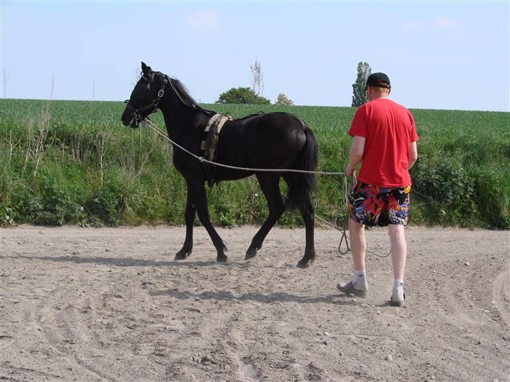 Traver Orlov Replay Mastery  - Her har vi Replay og Anders sammen. D. 21/5-09 billede 9