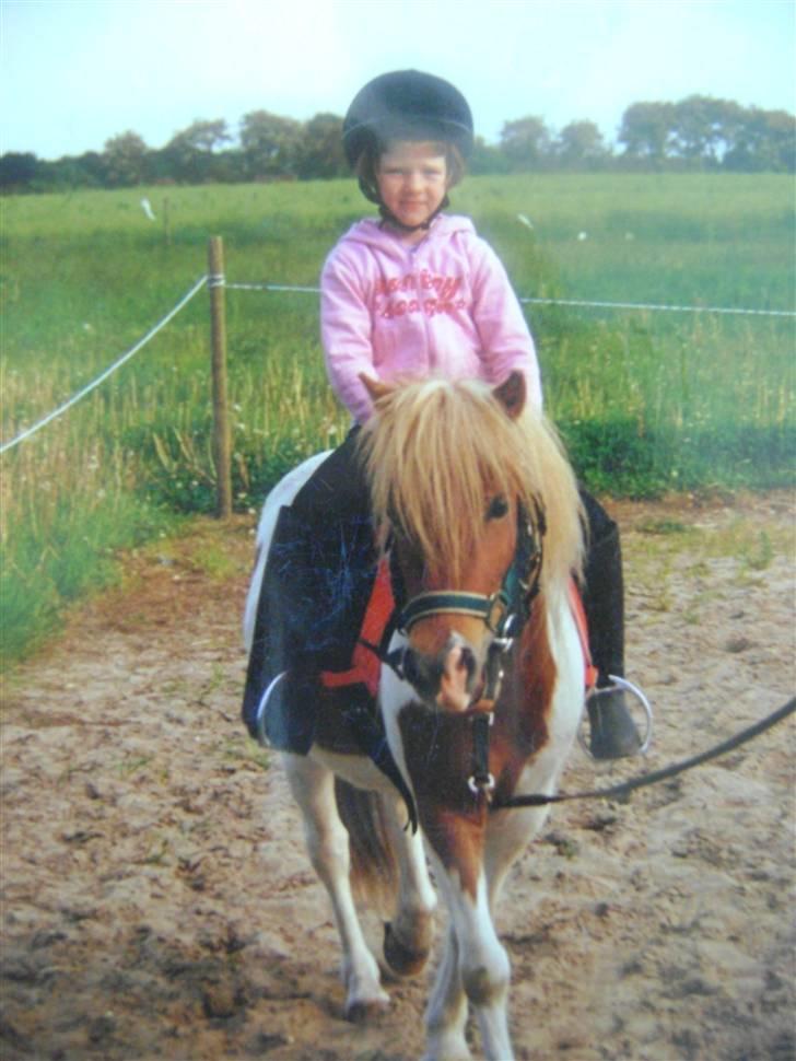 Shetlænder Prins Ib - velkommen til min profil..her er rebecca ved at tilride mig,,hun var 6, jeg var 5 år,,det er snart 7 år siden..men jeg kan da huske der har redet folk på mig! billede 1