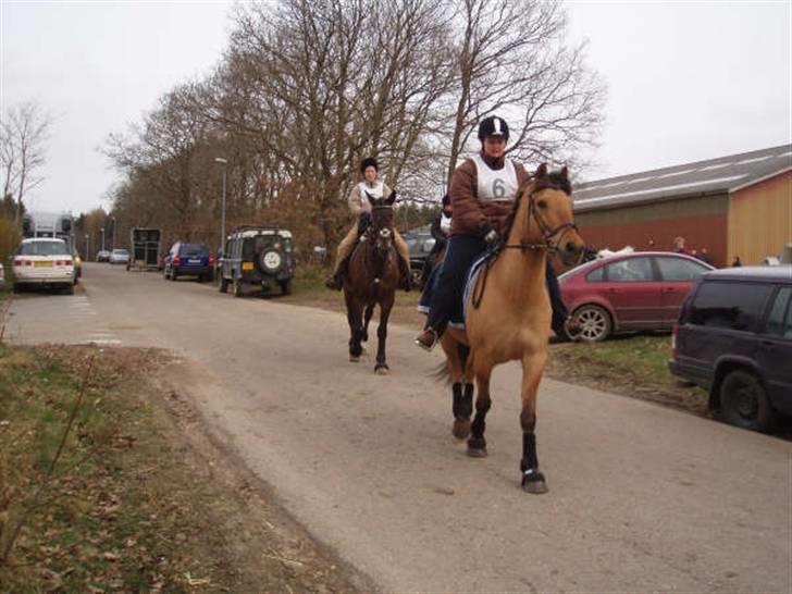 Anden særlig race Vesterhedes Charmeur  - Så er starten gået.... Kun nu mor... Jeg har ikke tid til at vente på de andre..... billede 12