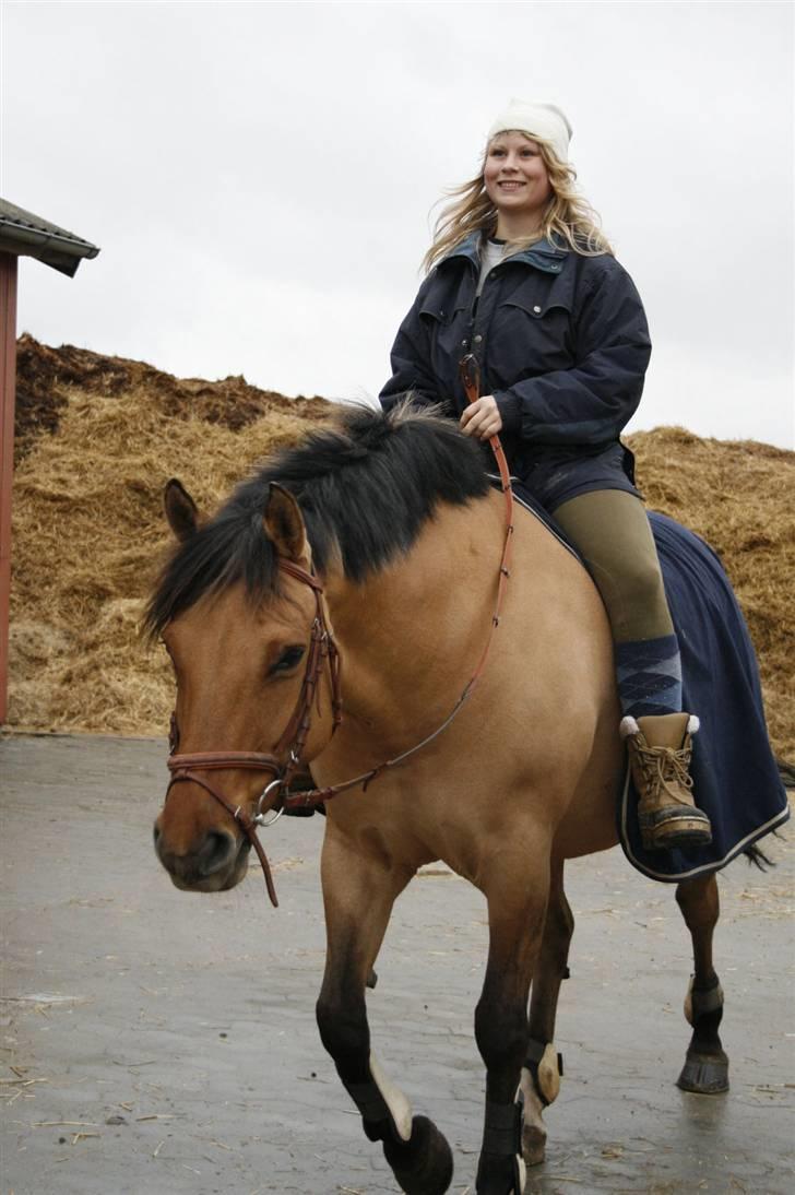 Anden særlig race Freja billede 2